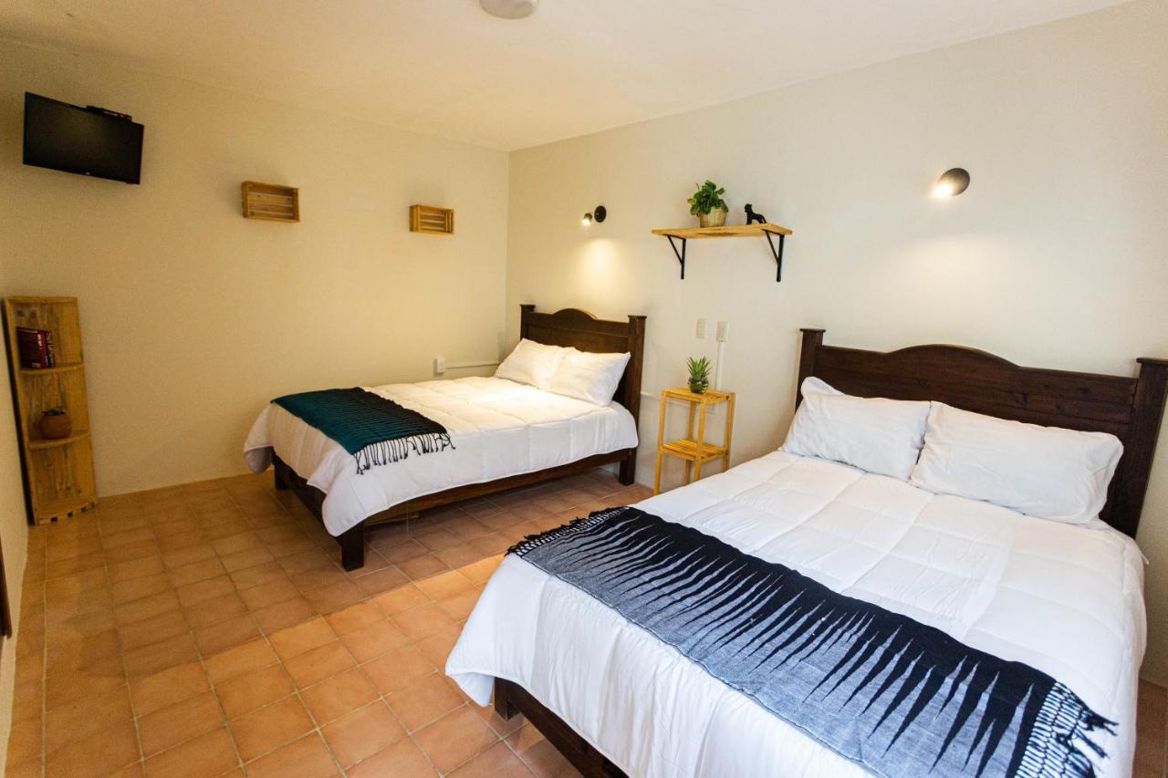 Casa Venus Hotel San Cristóbal de Las Casas Eksteriør billede