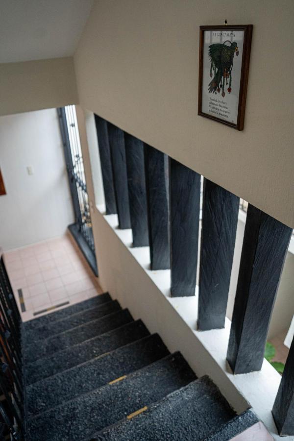 Casa Venus Hotel San Cristóbal de Las Casas Eksteriør billede