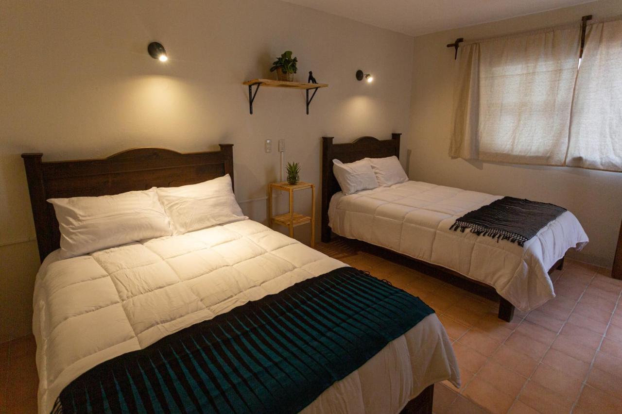 Casa Venus Hotel San Cristóbal de Las Casas Eksteriør billede